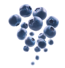 ripe-blueberries-levitate-white-background